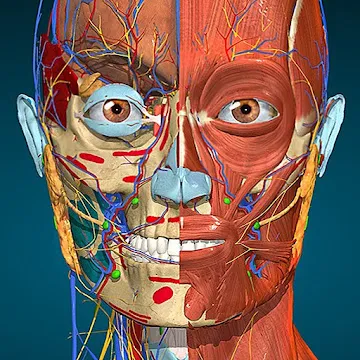 Anatomy Learning - 3D Anatomy Atlas - vv3.1.500