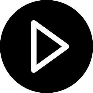 WorldBox icon