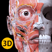 Anatomy 3D Atlas - v6.6.1