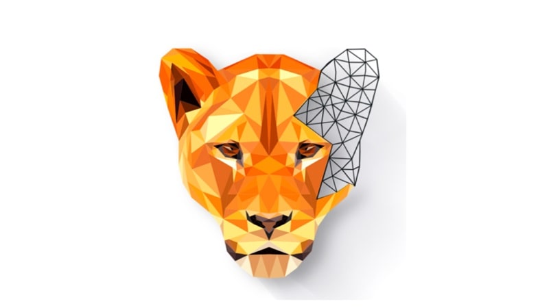 Polygon APK - vv5.6.3