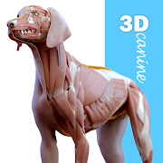 Complete Canine 3D - v1.73