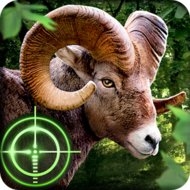 Wild Hunter 3D - vv1.0.14