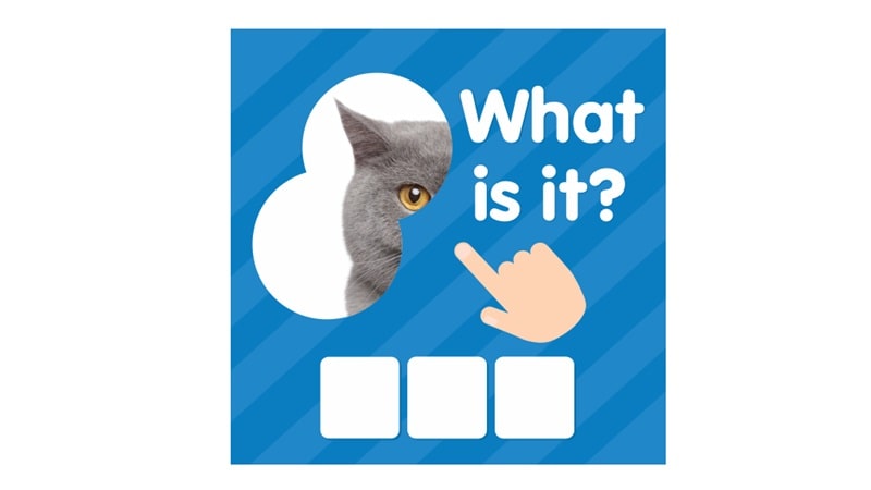 101 Pics APK - vv2.5.31