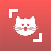 Cat Scanner - vv22.4.1-G