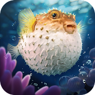 Top Fish: Ocean Game - vv1.1.483144.