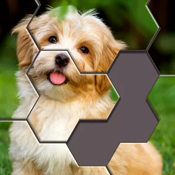 Hexa Jigsaw Puzzle ™ - v20.01
